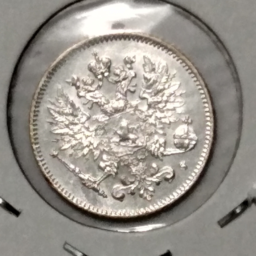 Polish_20211214_055117896.jpg
