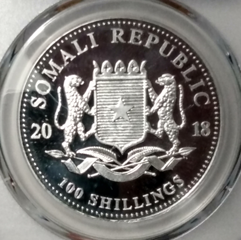 Polish_20211215_064916374.jpg