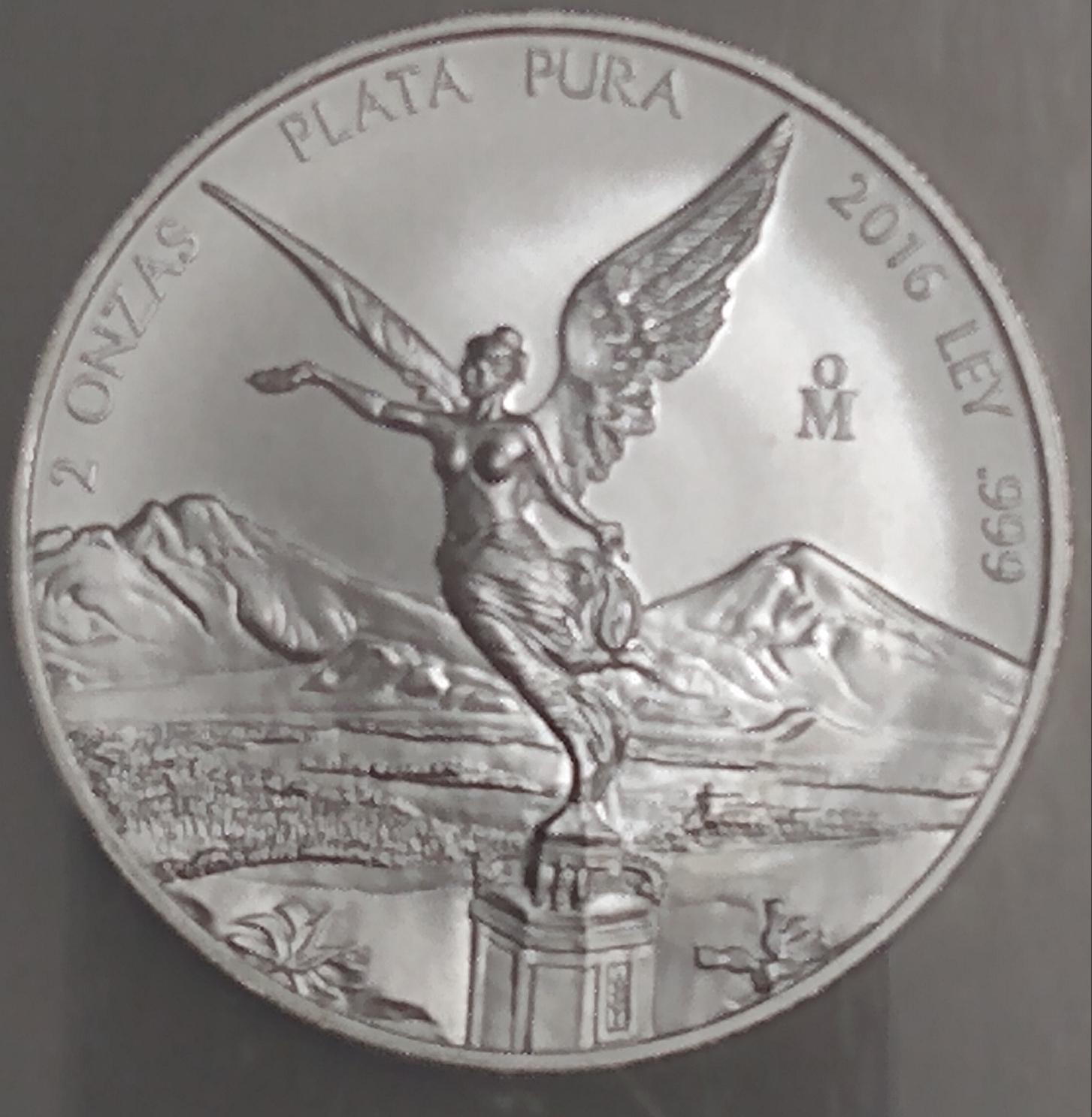 Polish_20220119_115032344.jpg