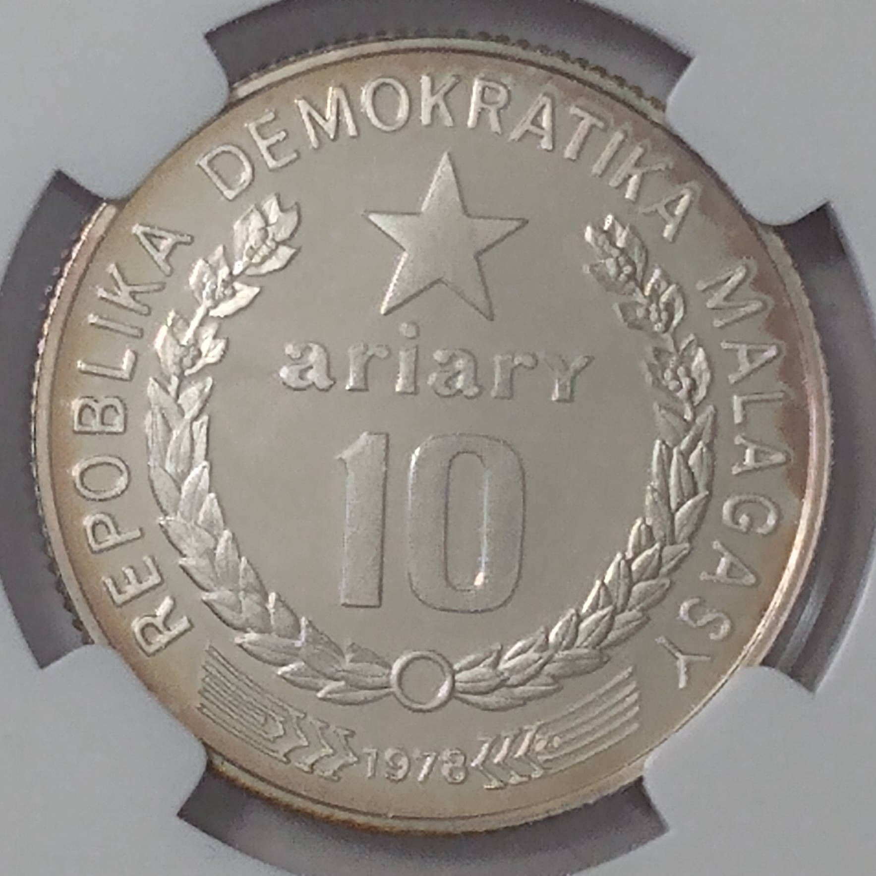 Polish_20220411_131306322.png
