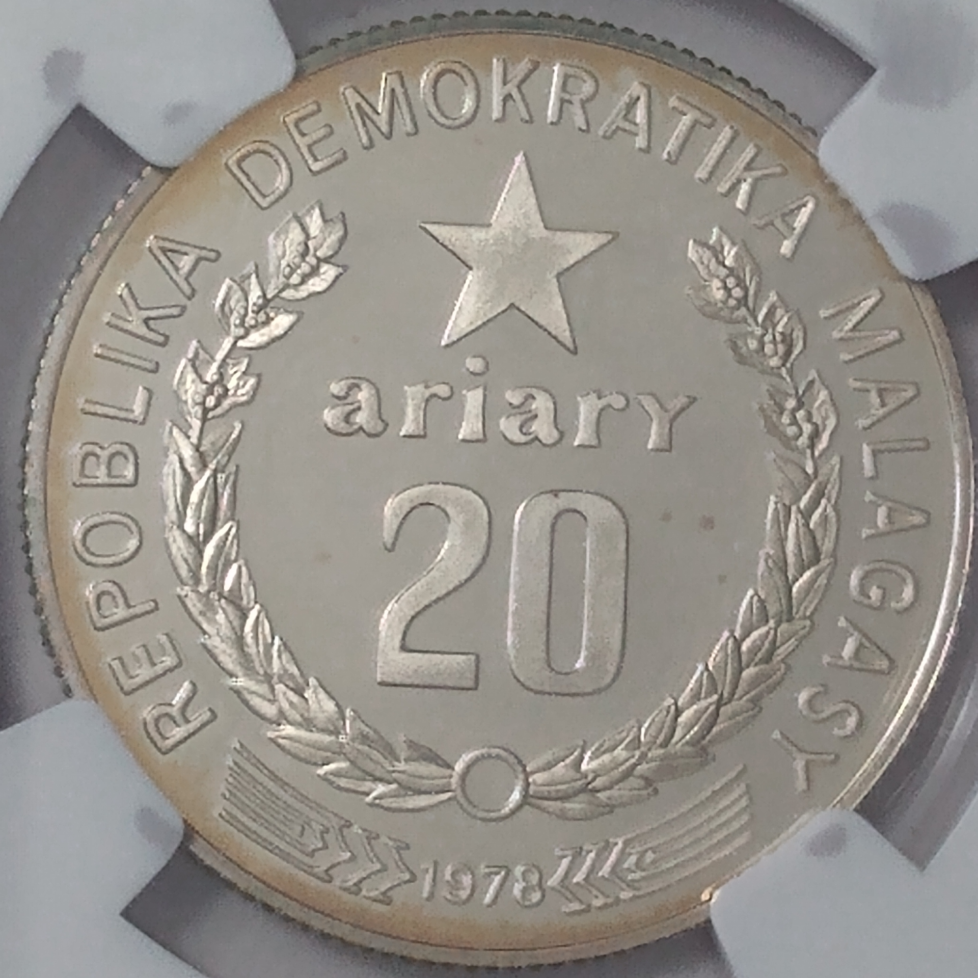 Polish_20220411_131446255.png