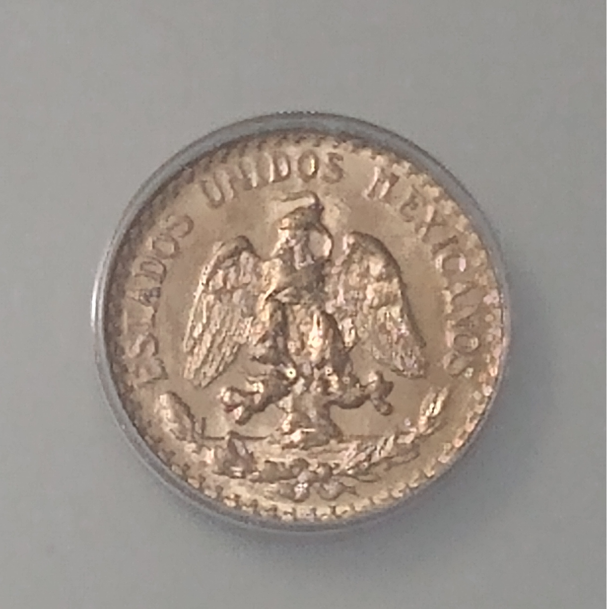 Polish_20221015_042955806.png
