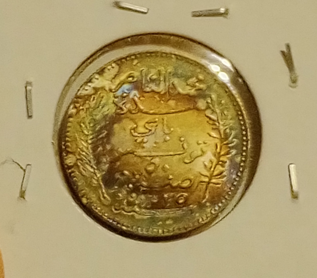 Polish_20230705_104005186.jpg