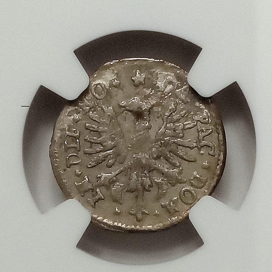 Polish_20240306_200647190.jpg