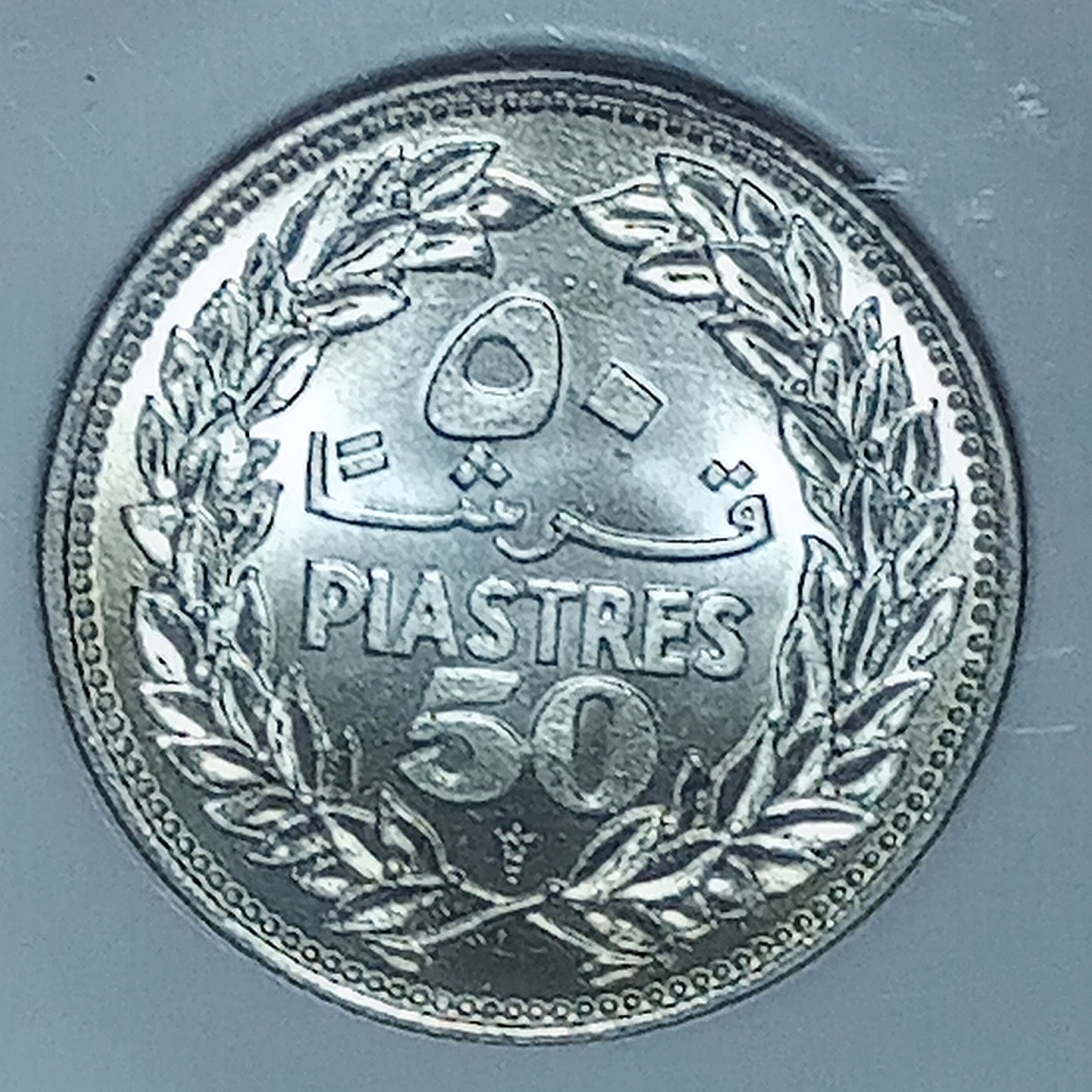 Polish_20241214_154825458.jpg