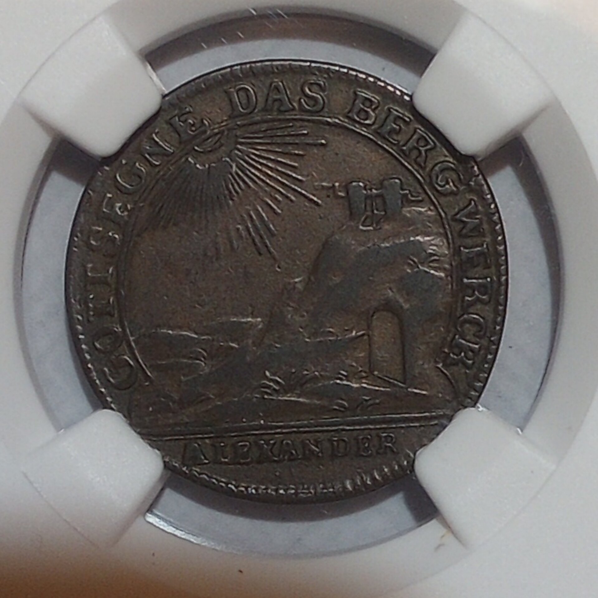 Polish_20260221_114114957.jpg