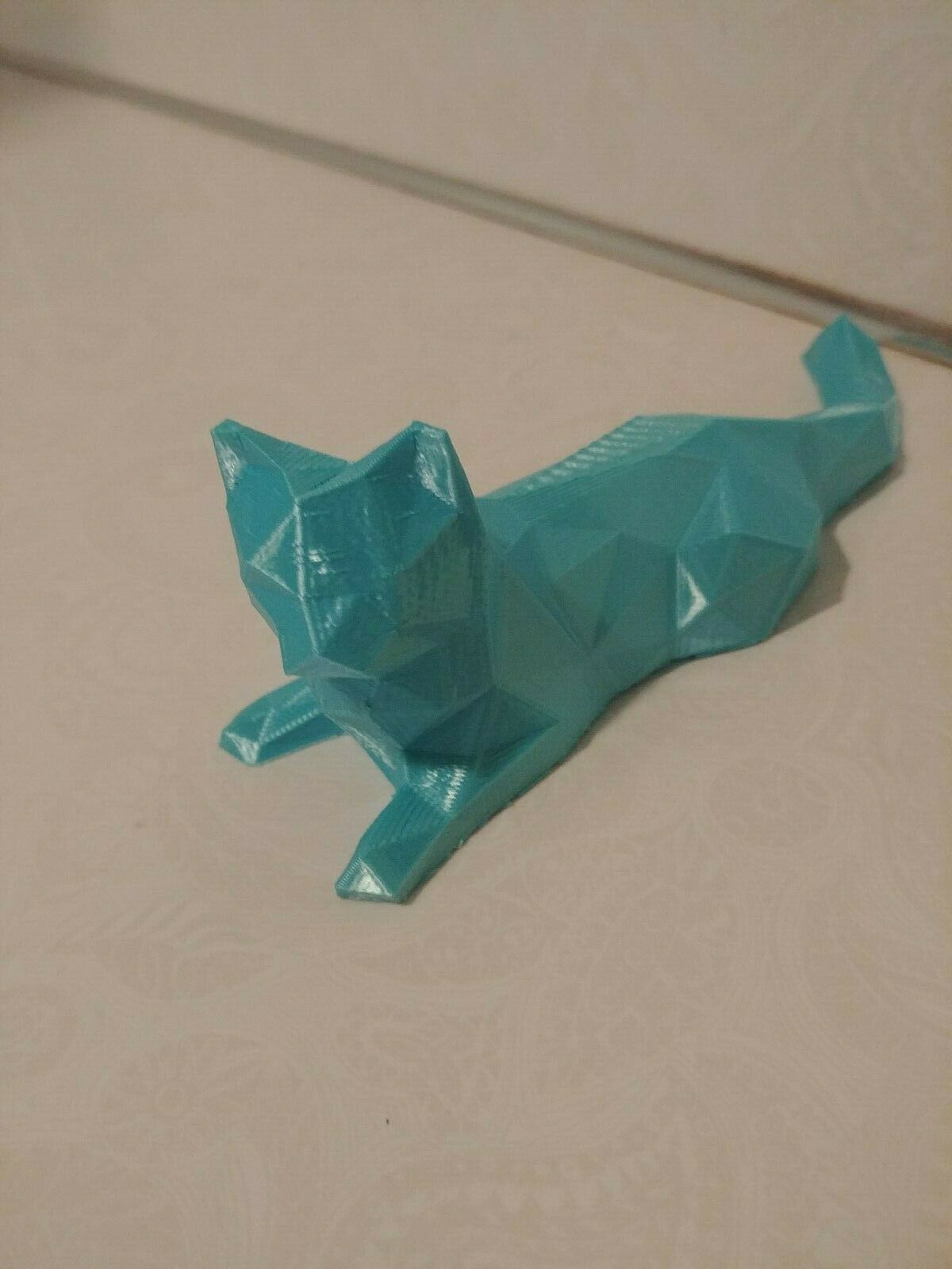 poly cat1.jpg