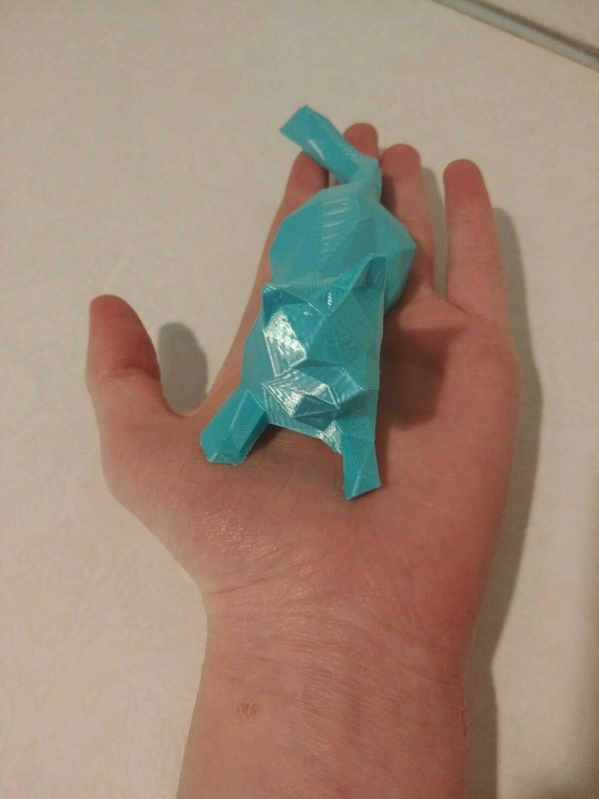 poly cat3.jpg