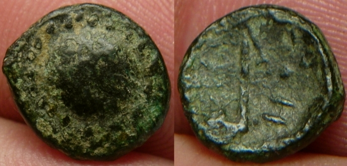 polyrhenion.jpg