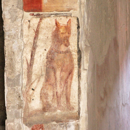 PompeiDogFreize449_edited-1.jpg