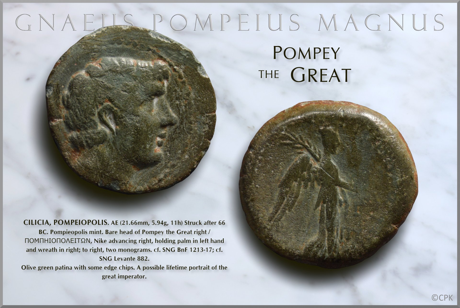pompeiopolis_pompey.jpg