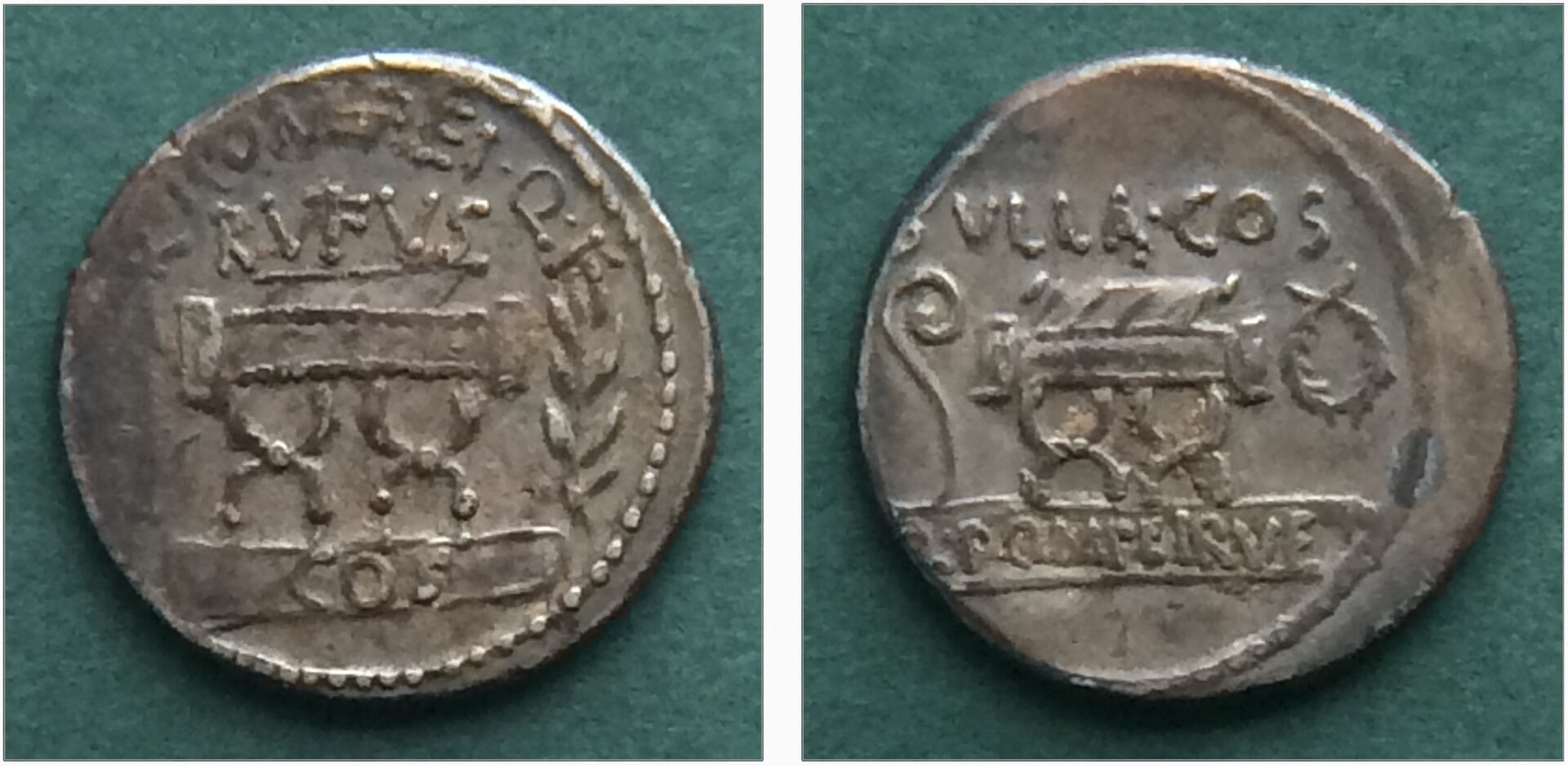 pompeius rufus.jpg