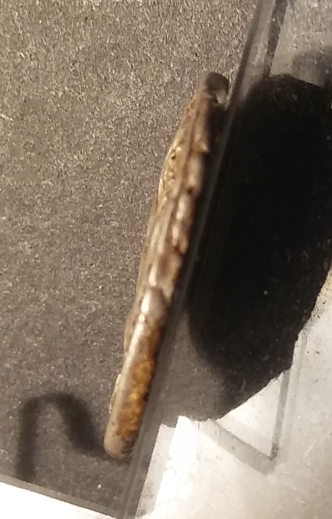 Pomponius Molo edge 3.jpg
