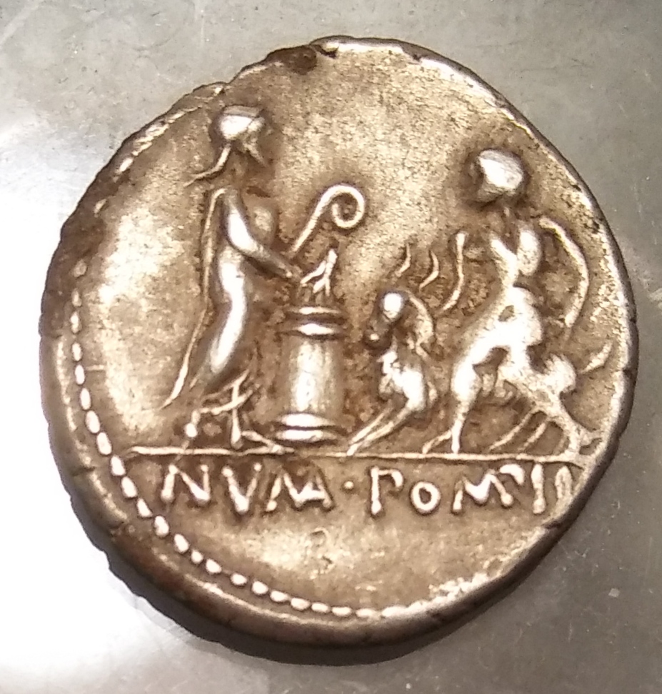 Pomponius Molo Rev.jpg