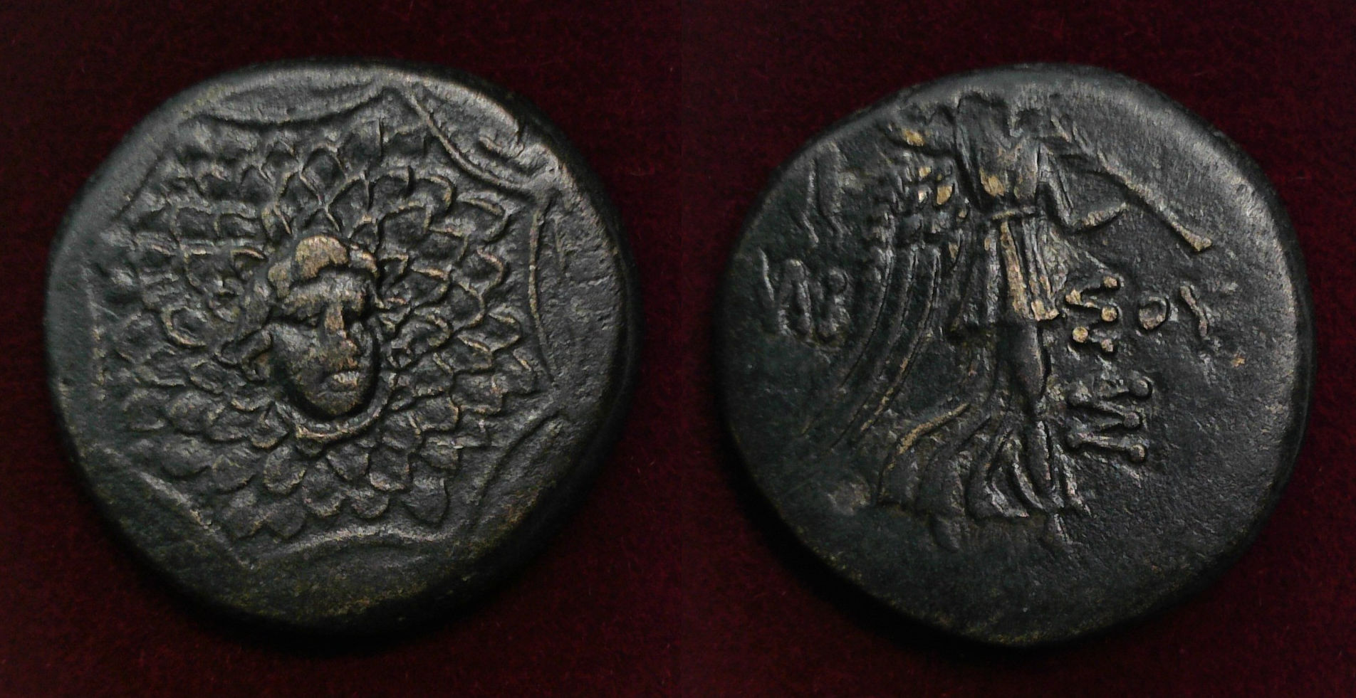 Pontos Amisos Gorgon.jpg
