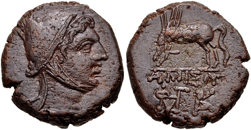 Pontos Amisos Mithradates VI Pegasus.jpg