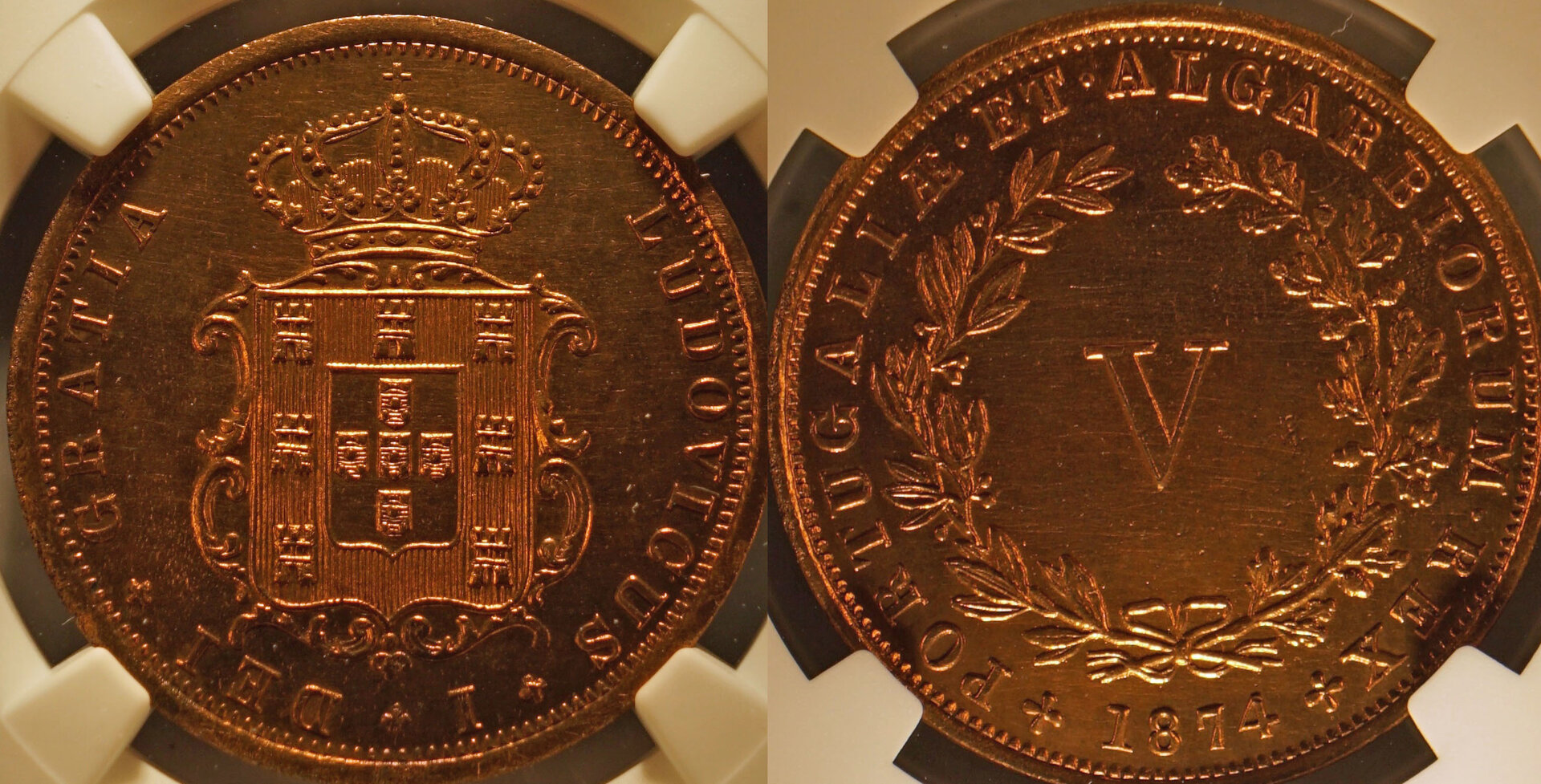 Por187405.jpg