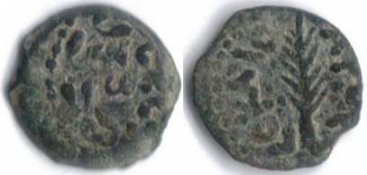 porciusfestus.jpg