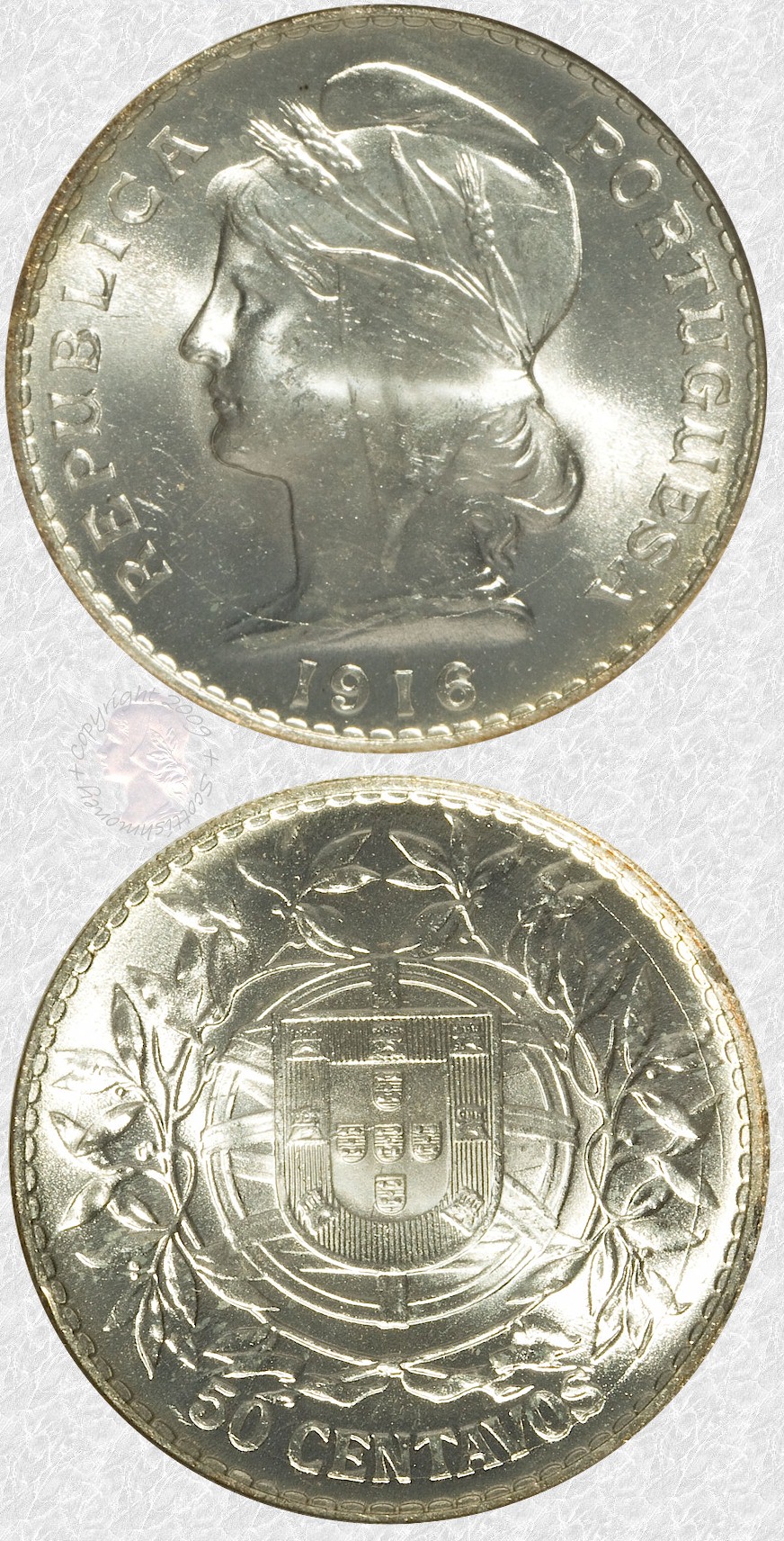 port501916.jpg