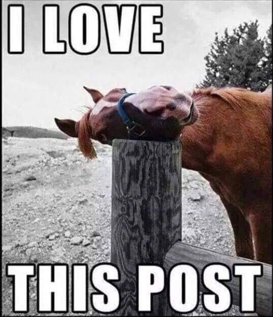 post.jpg