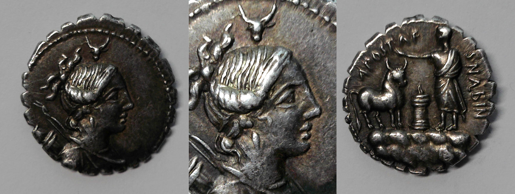 postumia 7sm.jpg