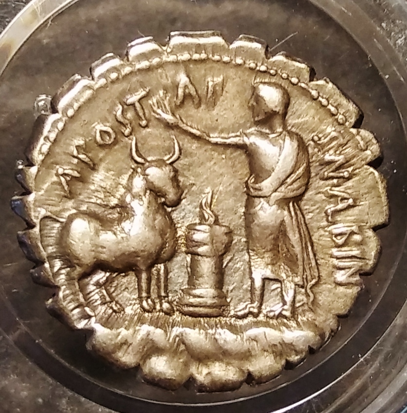 Postumius Albinus (sacrifice) - Rev 1).jpg