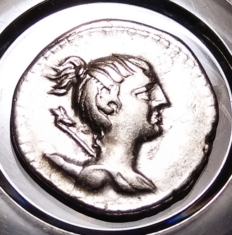 Postumius Diana & Hound Obv 1.jpg