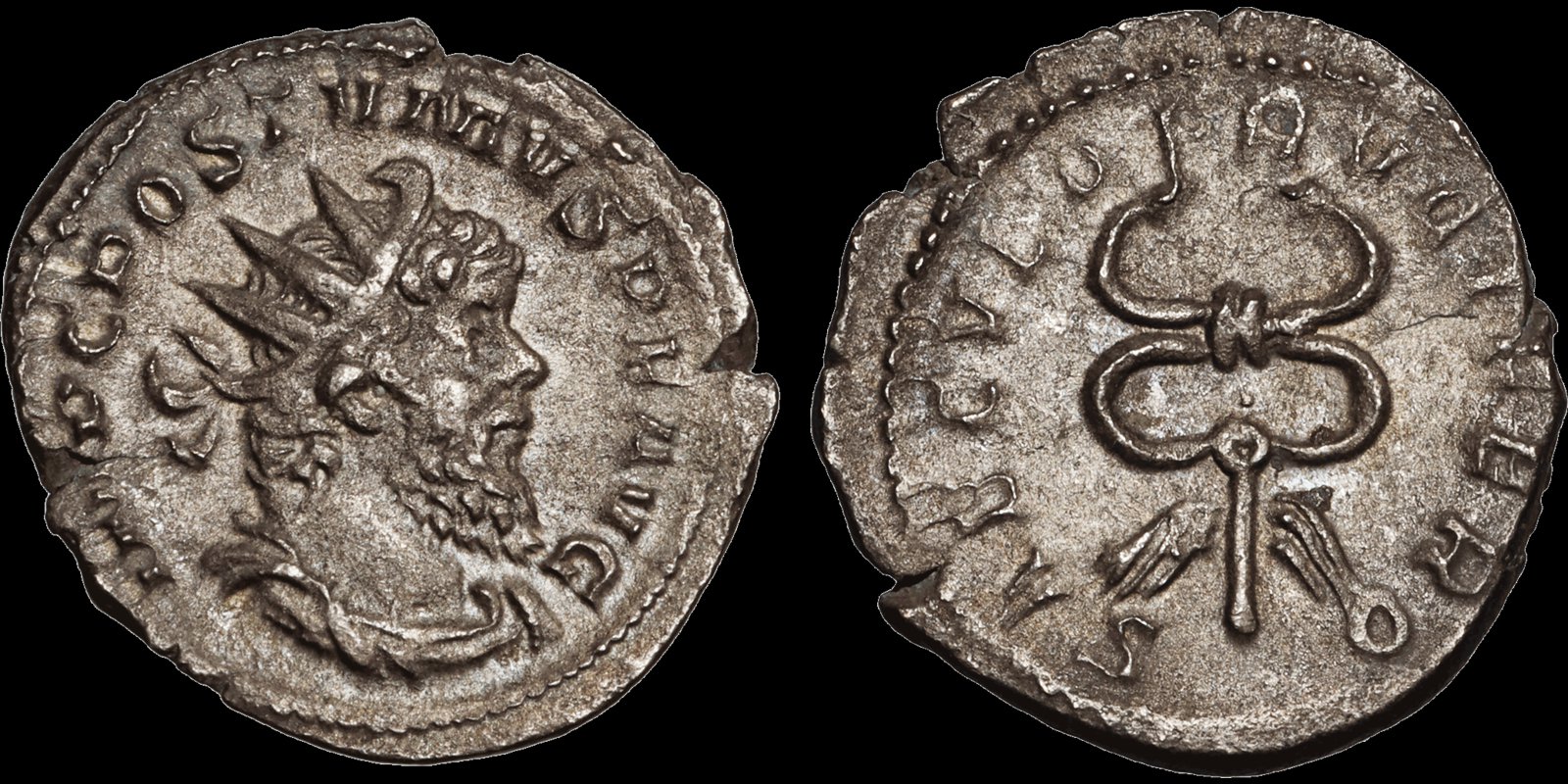 Postumus Anton Cal Davis.jpg