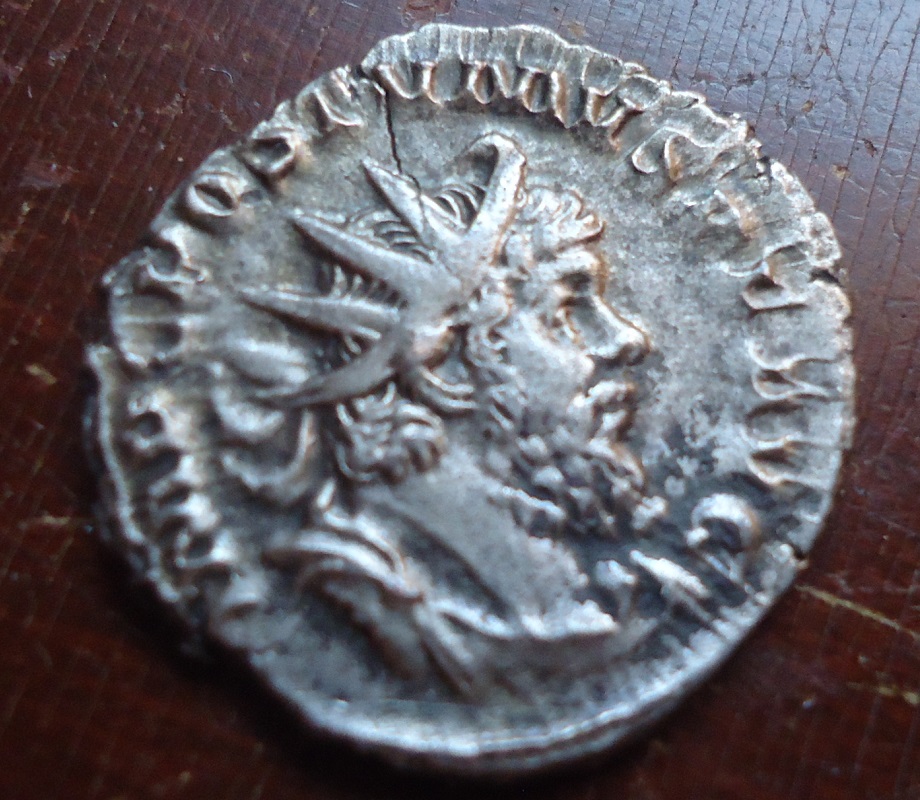Postumus SALVS (1).JPG