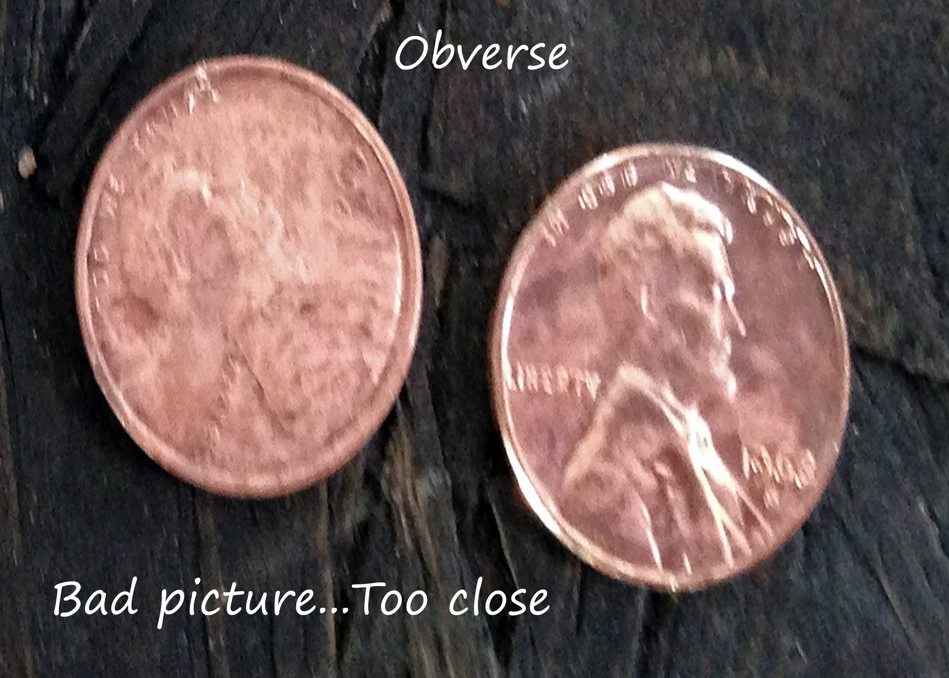 POTATOCOIN4.jpg