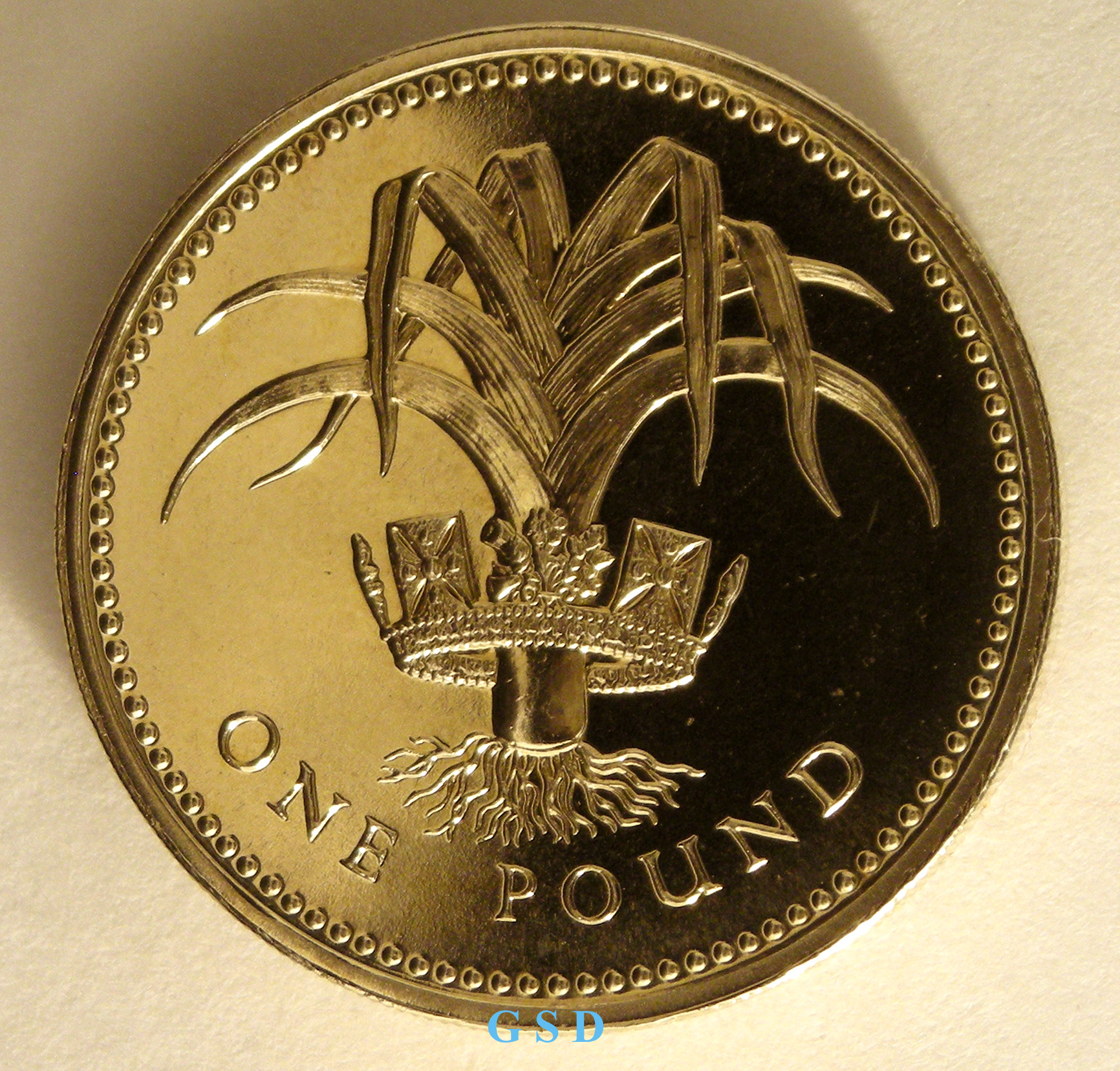 pound_1985_rev.JPG