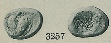 Pozzi3257.jpg