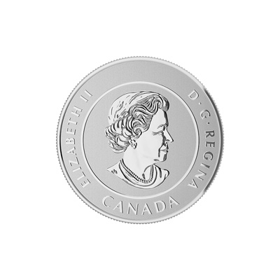 pp-3699-2.jpg