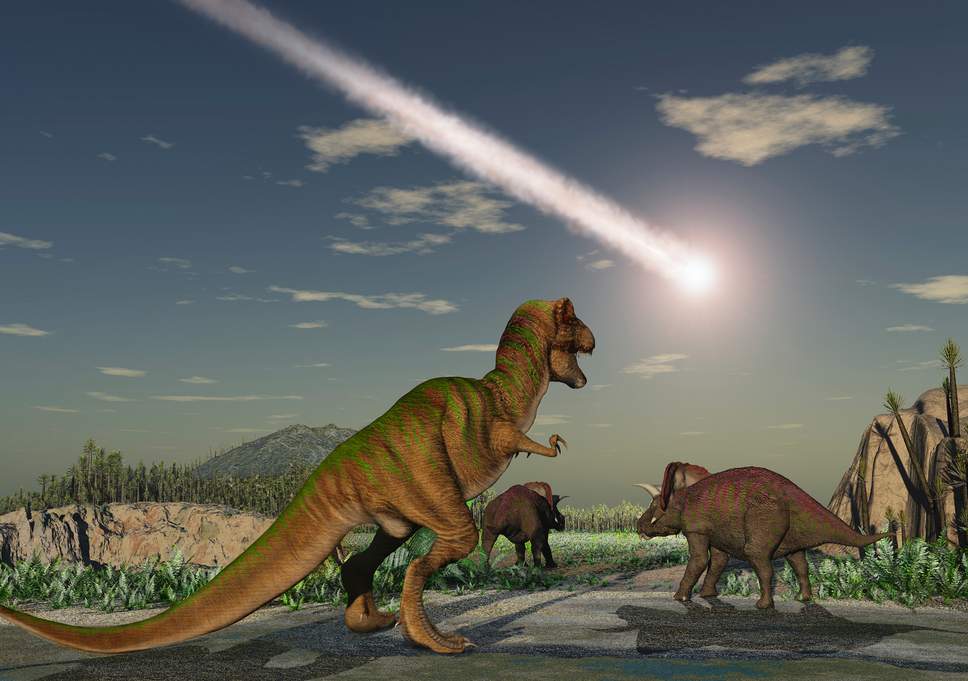 pp-dinosaurs-asterdoid-rf-istock.jpg