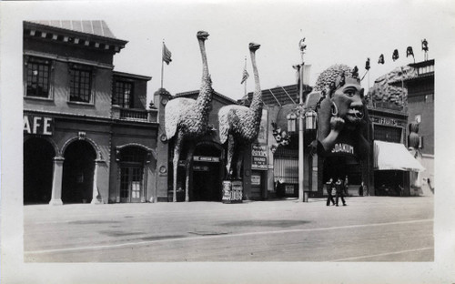 PPIE Ostrich 1915.jpg