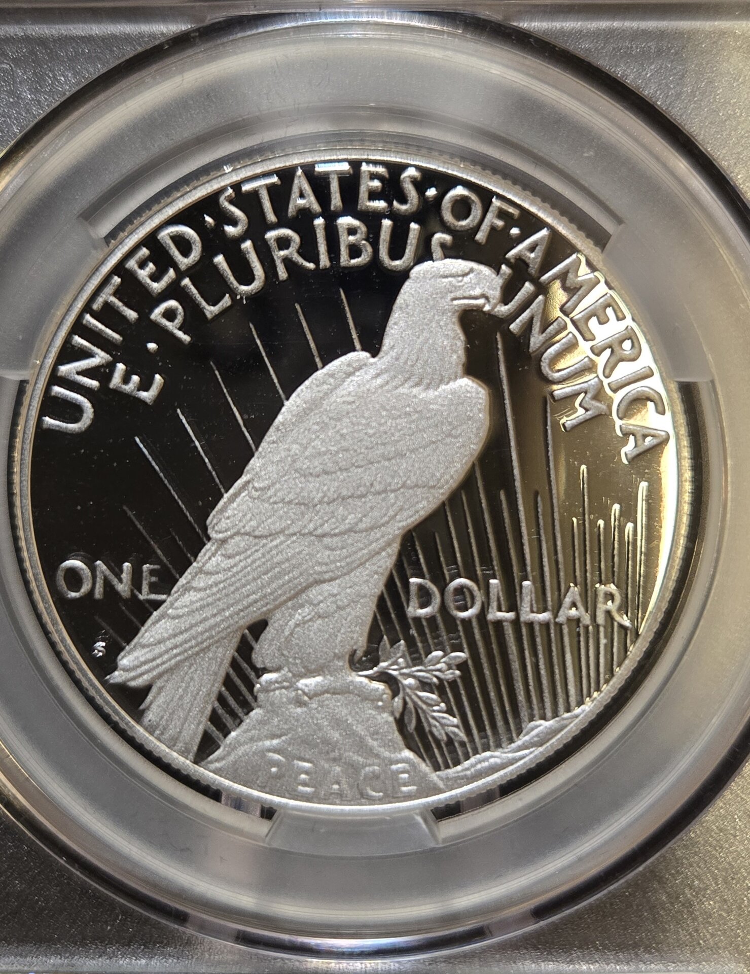 PR68 DCAM 2024-S CAC rev.jpg