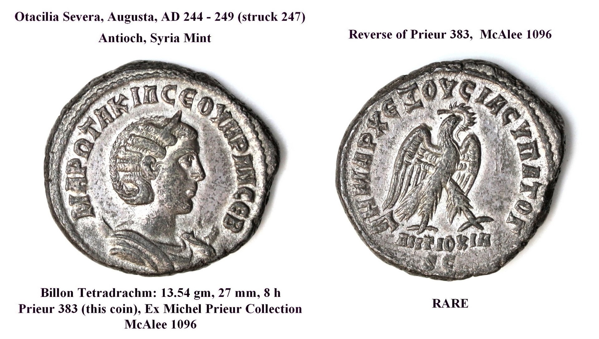 Prieur 383, McAlee 1096.jpg