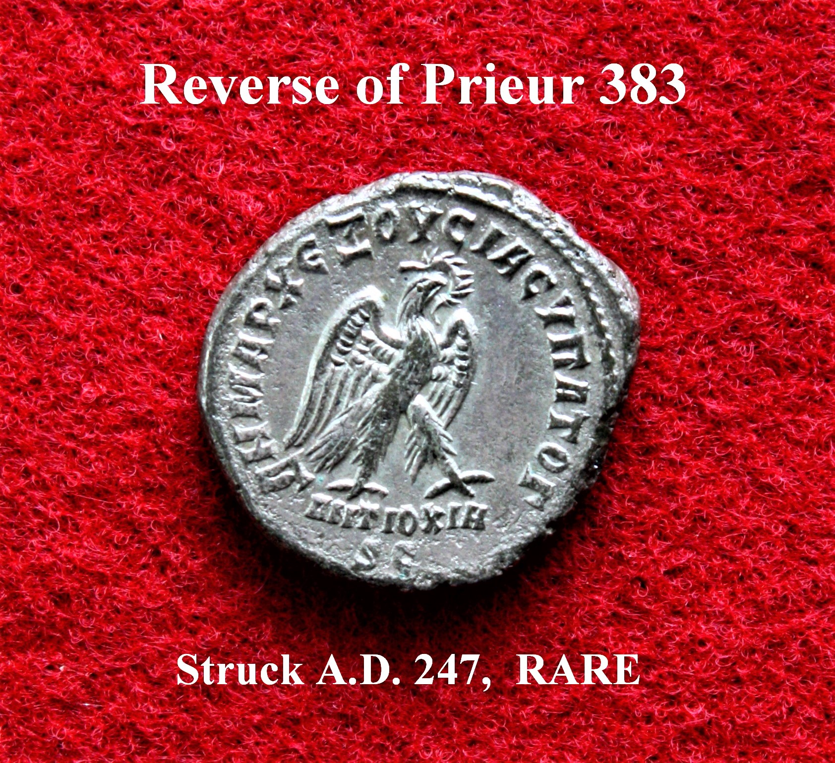 Prieur 383 rev..JPG