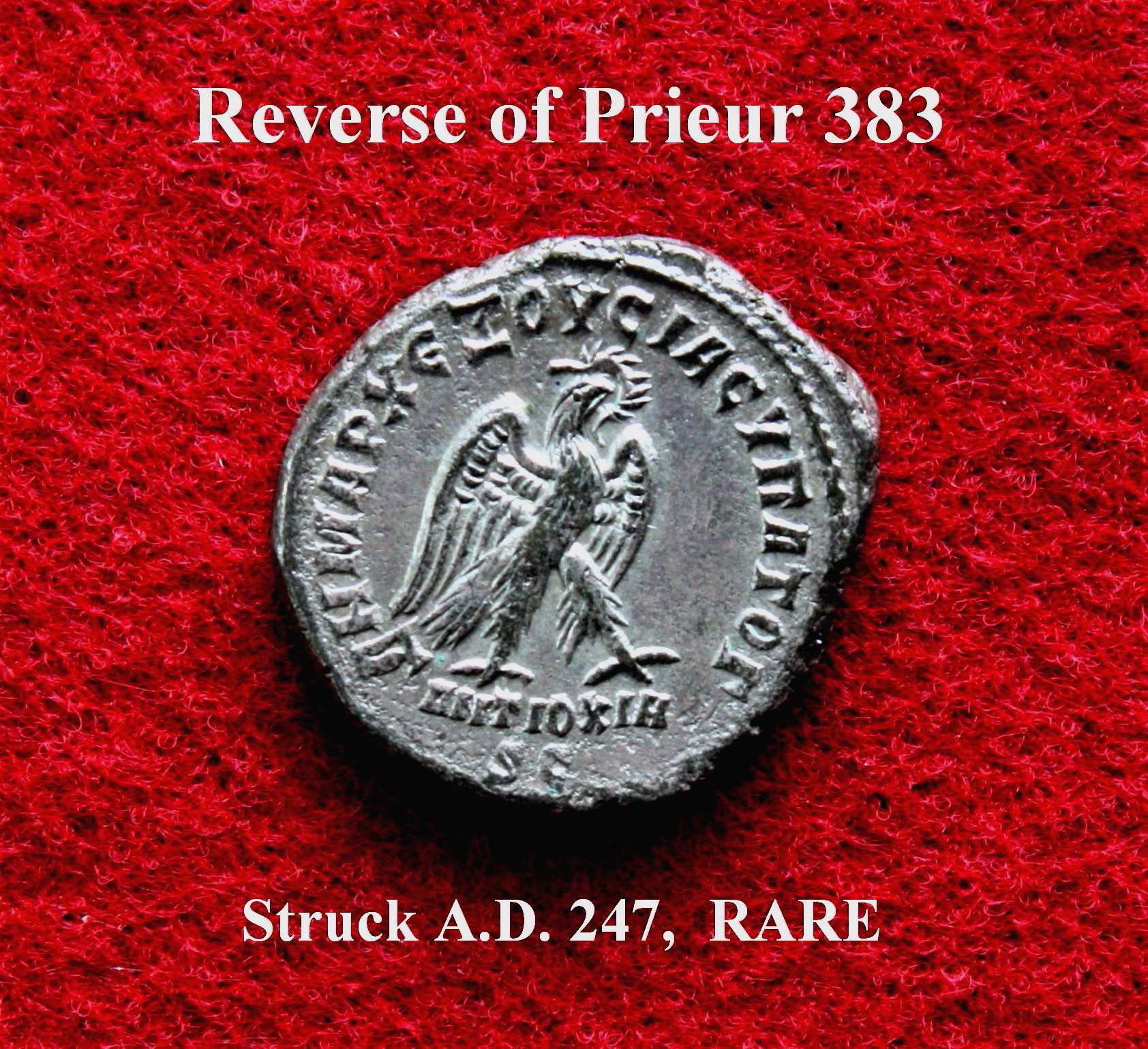 Prieur 383 rev..JPG