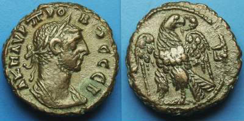 Probus 7a.jpg