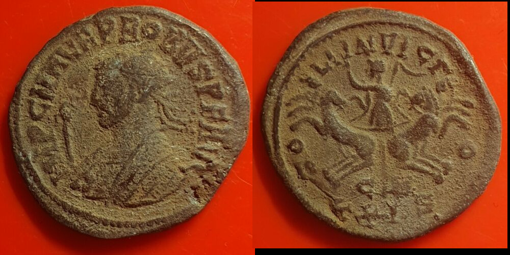 Probus 911 2.jpg
