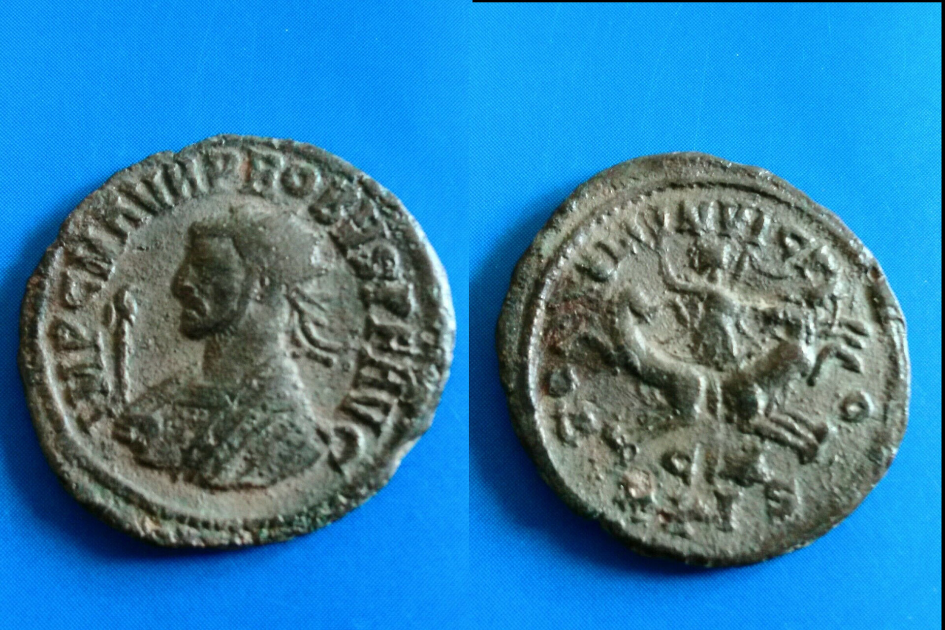 Probus 911.jpg