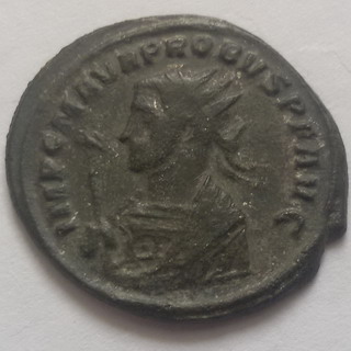 Probus A.jpg