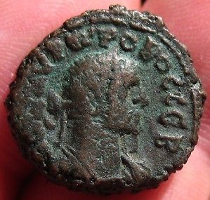 Probus and or Diocletian Alexandria Tet Eagle a.jpg