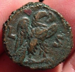 Probus and or Diocletian Alexandria Tet Eagle b.jpg