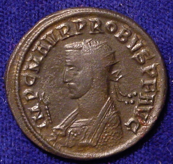 Probus Anton Horse O.jpg