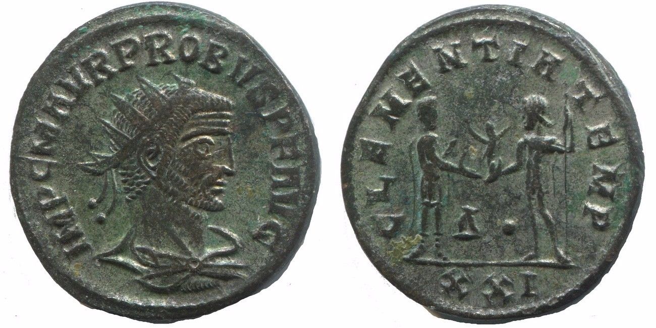 probus asian mint.jpg