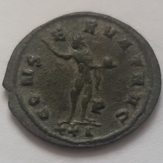 Probus B.jpg