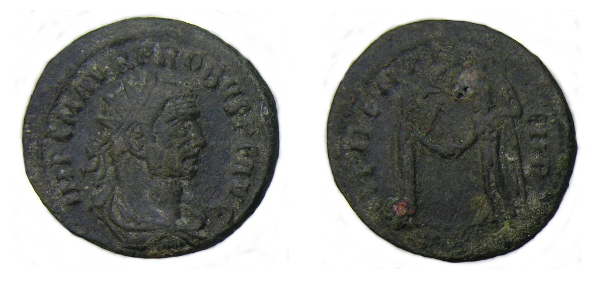 probus-clementia-reshoot.jpg