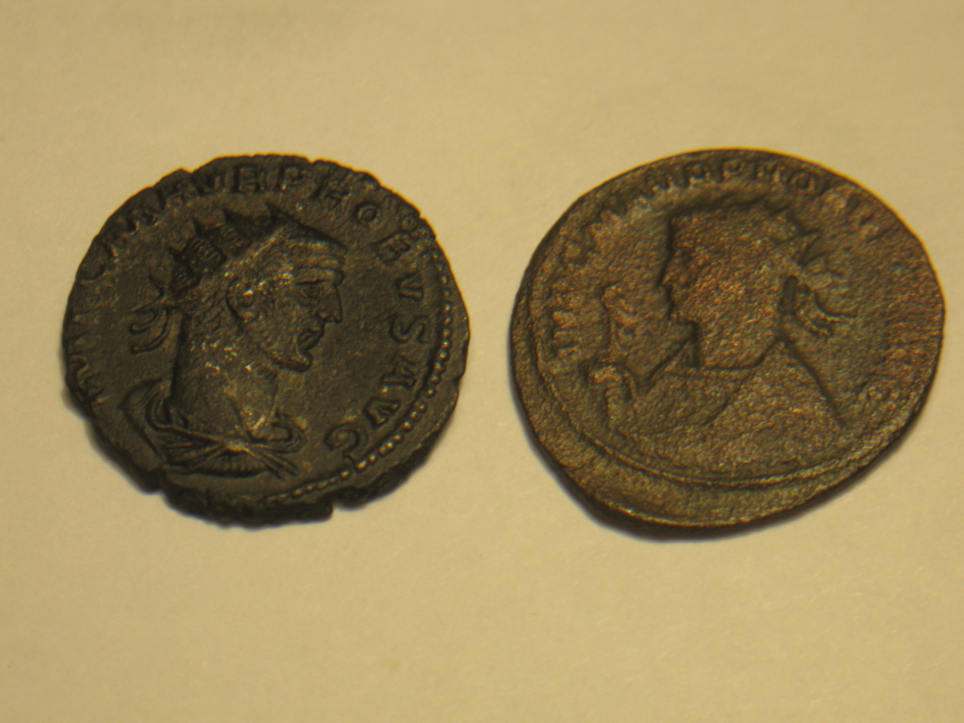Probus coins groundhog 002.JPG